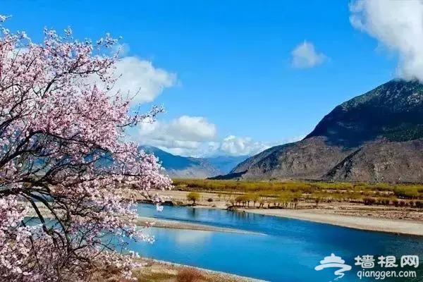这10个地方适合3月踏春旅行[墙根网]