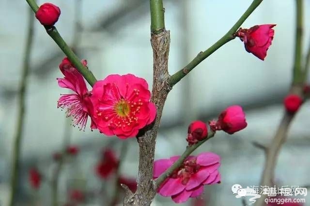 点击查看下一页