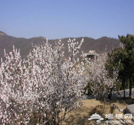 春光明媚爬山去!北京周边爬山好去处[墙根网]