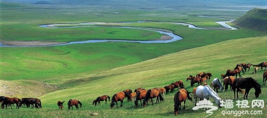 春节之后玩什么：中国最美六大草原