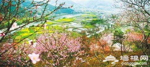 2016开县郭家桃花节3月11日开幕 乡村旅游年主题活动持续至6月初