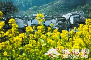 油菜花海那么多如此多线路该去哪？[墙根网]