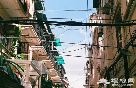 骑游春天 上海这些骑游线路颜值爆表[墙根网]