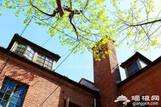 骑游春天 上海这些骑游线路颜值爆表[墙根网]