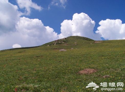 京郊最美的踏青徒步路线都在这里了，约吗？[墙根网]