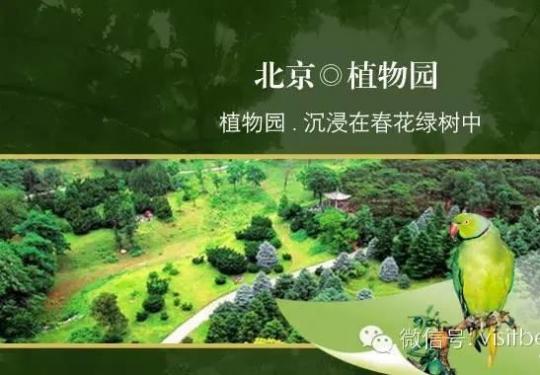 这样的北京植物园您真去过么?
