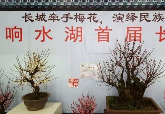 京怀柔响水湖长城2016三八妇女节优惠活动