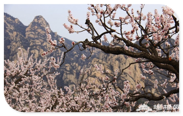 凤凰岭