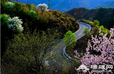 驶向北京那些美到离谱的公路，开启三月最美旅行！[墙根网]