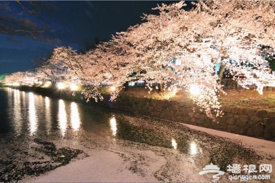 日本赏樱全攻略 来一场赏樱之旅吧！[墙根网]