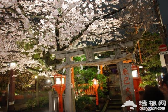 日本赏樱全攻略 来一场赏樱之旅吧！[墙根网]