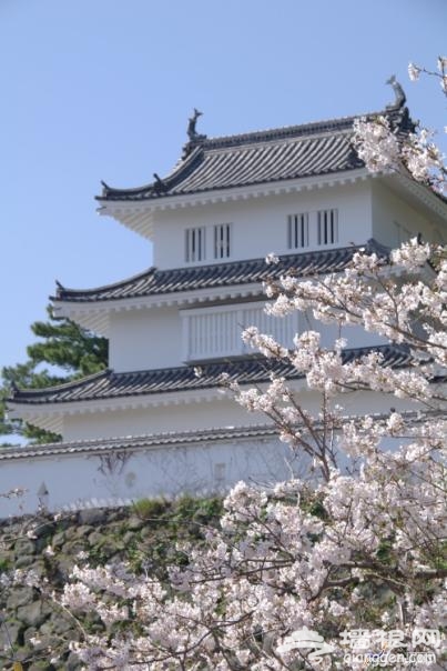 日本赏樱全攻略 来一场赏樱之旅吧！[墙根网]