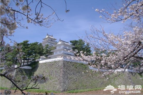 日本赏樱全攻略 来一场赏樱之旅吧！[墙根网]