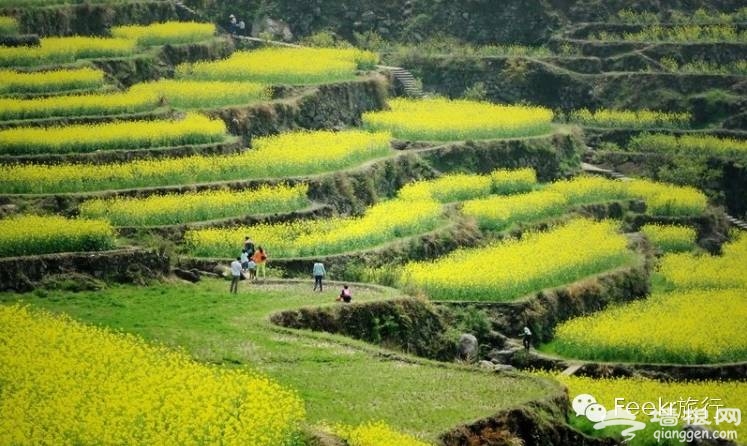 3月最佳旅行地榜单 春暖花开郊外撒泼[墙根网]