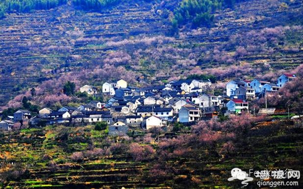 3月最佳旅行地榜单 春暖花开郊外撒泼[墙根网]