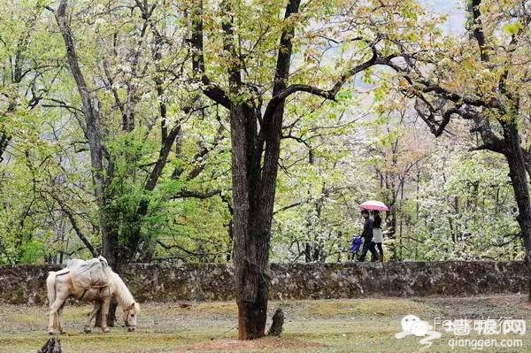 3月最佳旅行地榜单 春暖花开郊外撒泼[墙根网]