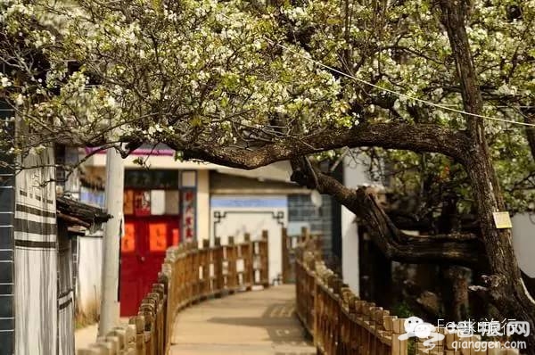 3月最佳旅行地榜单 春暖花开郊外撒泼[墙根网]