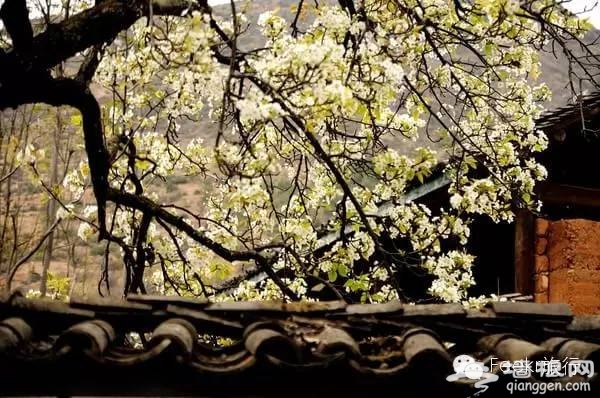 3月最佳旅行地榜单 春暖花开郊外撒泼[墙根网]
