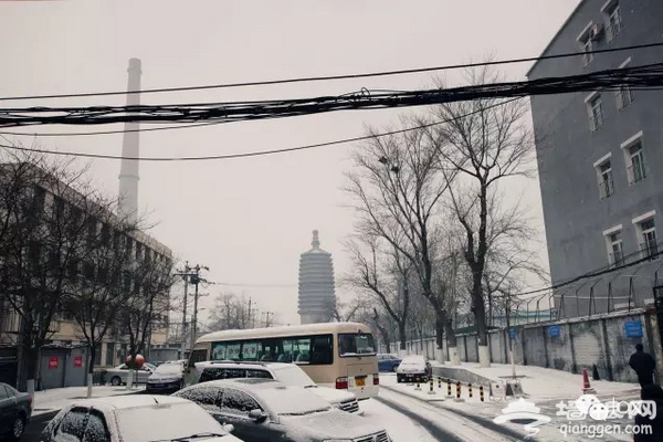 12.webp_调整大小