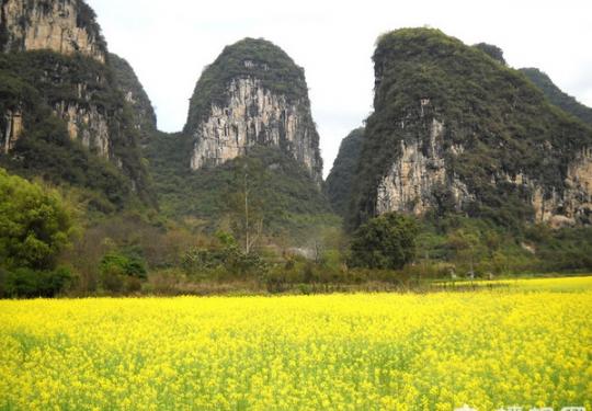到国内最纯净的地方寻找初春的味道