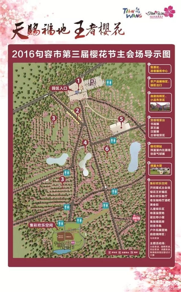 2016第三届句容樱花节[墙根网]