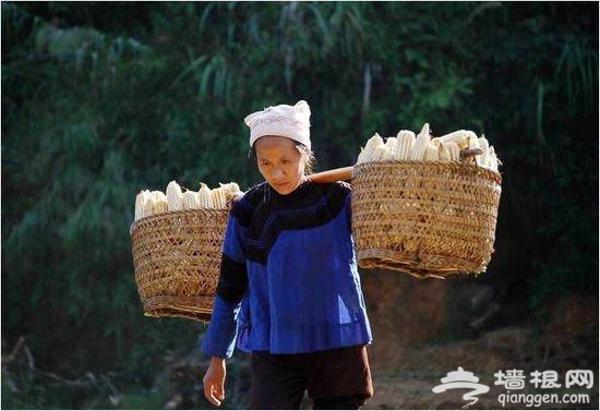 中国这9个世外桃源 你还没去吗？[墙根网]