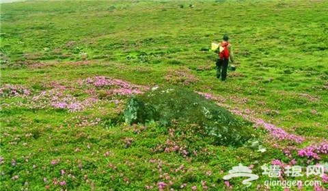 中国边境 竟藏着这样一个地方[墙根网]