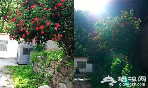中国边境 竟藏着这样一个地方[墙根网]