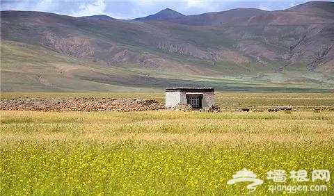 中国边境 竟藏着这样一个地方[墙根网]