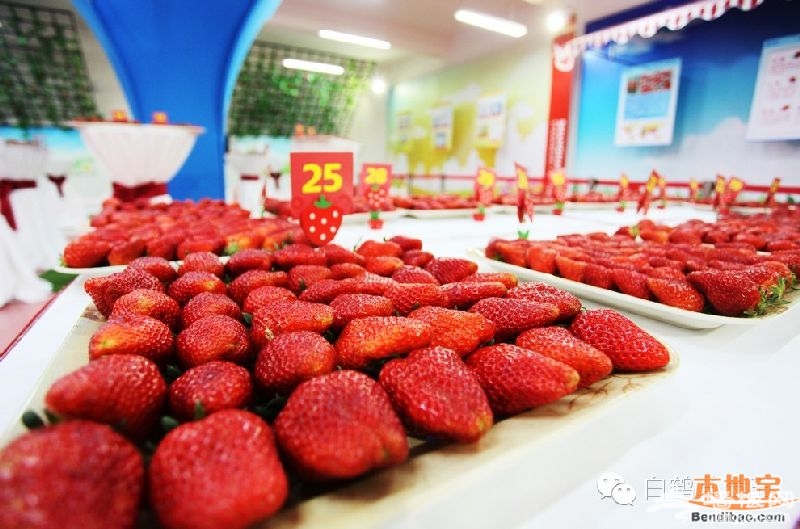 2016上海白鹤草莓节[墙根网]