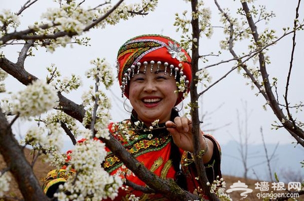 夷陵区背马山桃花节 李花油菜花“喧宾夺主”[墙根网]