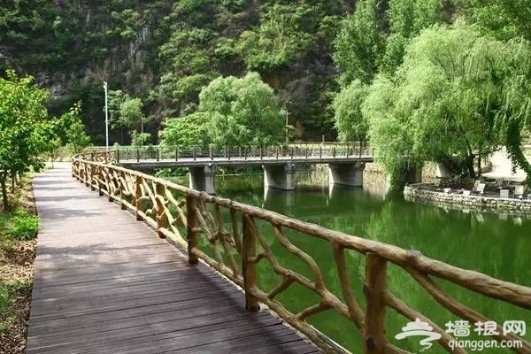 怀柔春季雁栖湖畔赏美景 农家住宿品美食[墙根网]