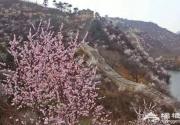 北京怀柔水长城春季赏花攻略