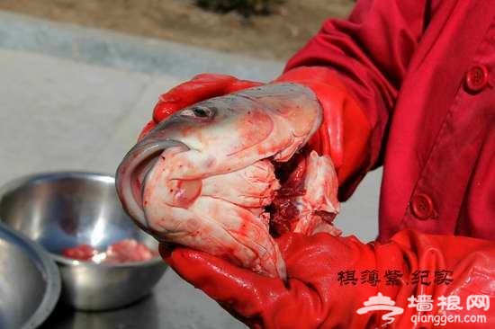 实拍东北铁锅炖鱼 这才叫豪放！[墙根网]