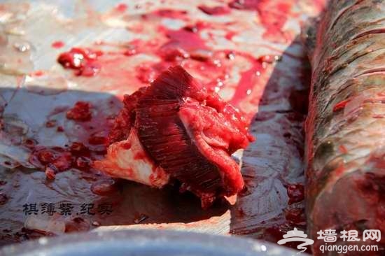 实拍东北铁锅炖鱼 这才叫豪放！[墙根网]