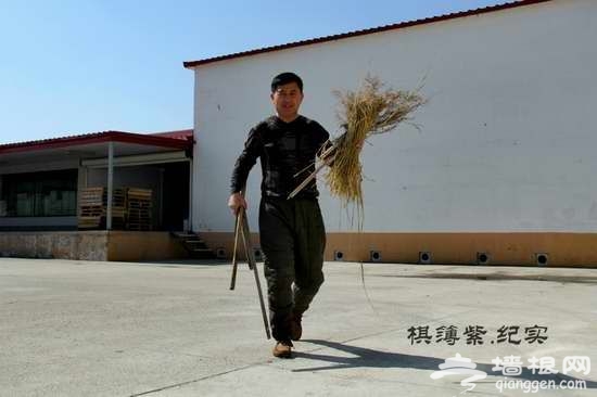 实拍东北铁锅炖鱼 这才叫豪放！[墙根网]