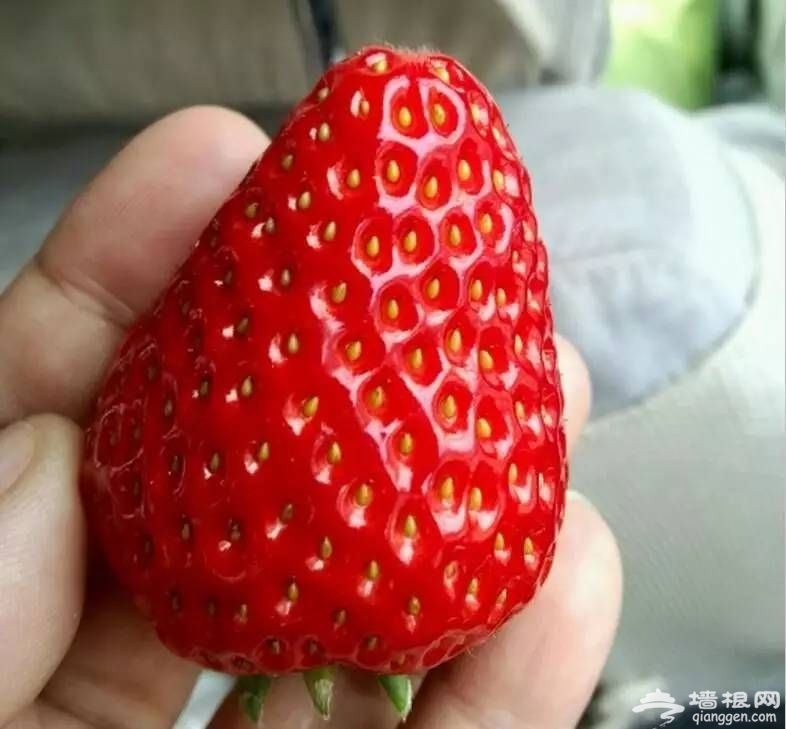 点击查看下一页