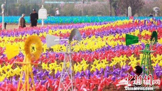 中国风车节将启幕 50万只风车打造梦幻世界