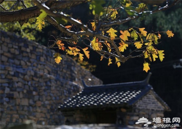 京郊欢乐游 爱上密云清水河[墙根网]