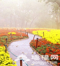 北京植物园