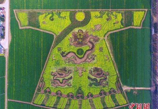 南京六合油菜花 农民田野“编龙袍” 空中俯瞰颇为震撼