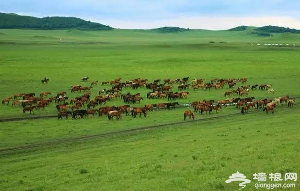内蒙古旅游最值得去的16个地方，太美了