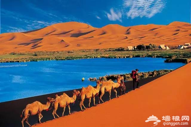 内蒙古旅游最值得去的16个地方，太美了