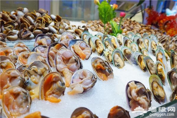 深海800米海鲜自助餐火锅 在深海800米吃海鲜大餐[墙根网]