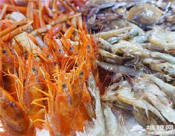 深海800米海鲜自助餐火锅 在深海800米吃海鲜大餐[墙根网]