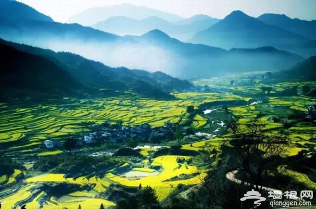 中国十大最美梯田你知道吗？[墙根网]
