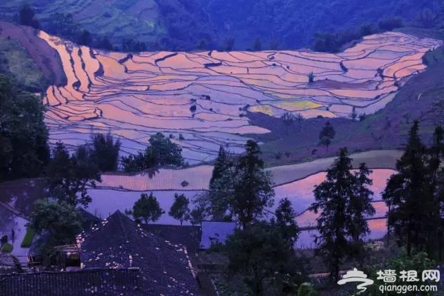 中国十大最美梯田你知道吗？[墙根网]