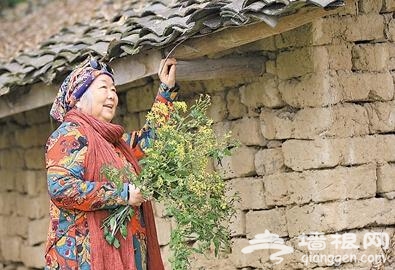 公式“时尚奶奶”的赏花照,收获了好多人的点赞。 受访者供图