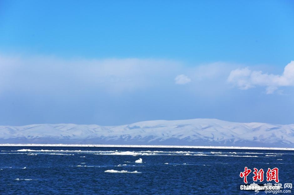 青海湖“文开” 较历年提早8天 场面壮观[墙根网]