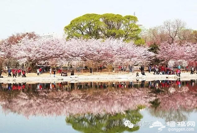 3月到5月，北京最该去的地方！[墙根网]